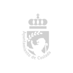 ayto coslada