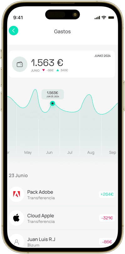 FInanciero Caracteristicas principales01 1