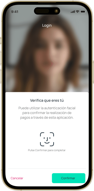 FInanciero Caracteristicas principales04