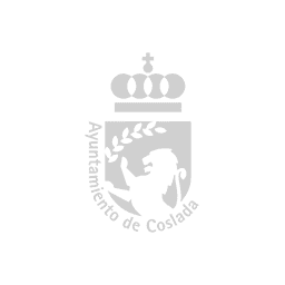 ayto coslada